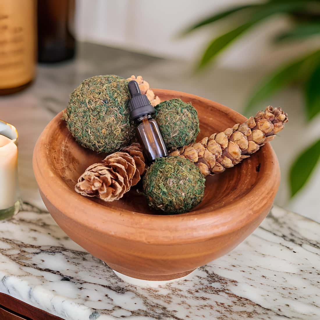 Pine Cone & Moss Ball Potpourri