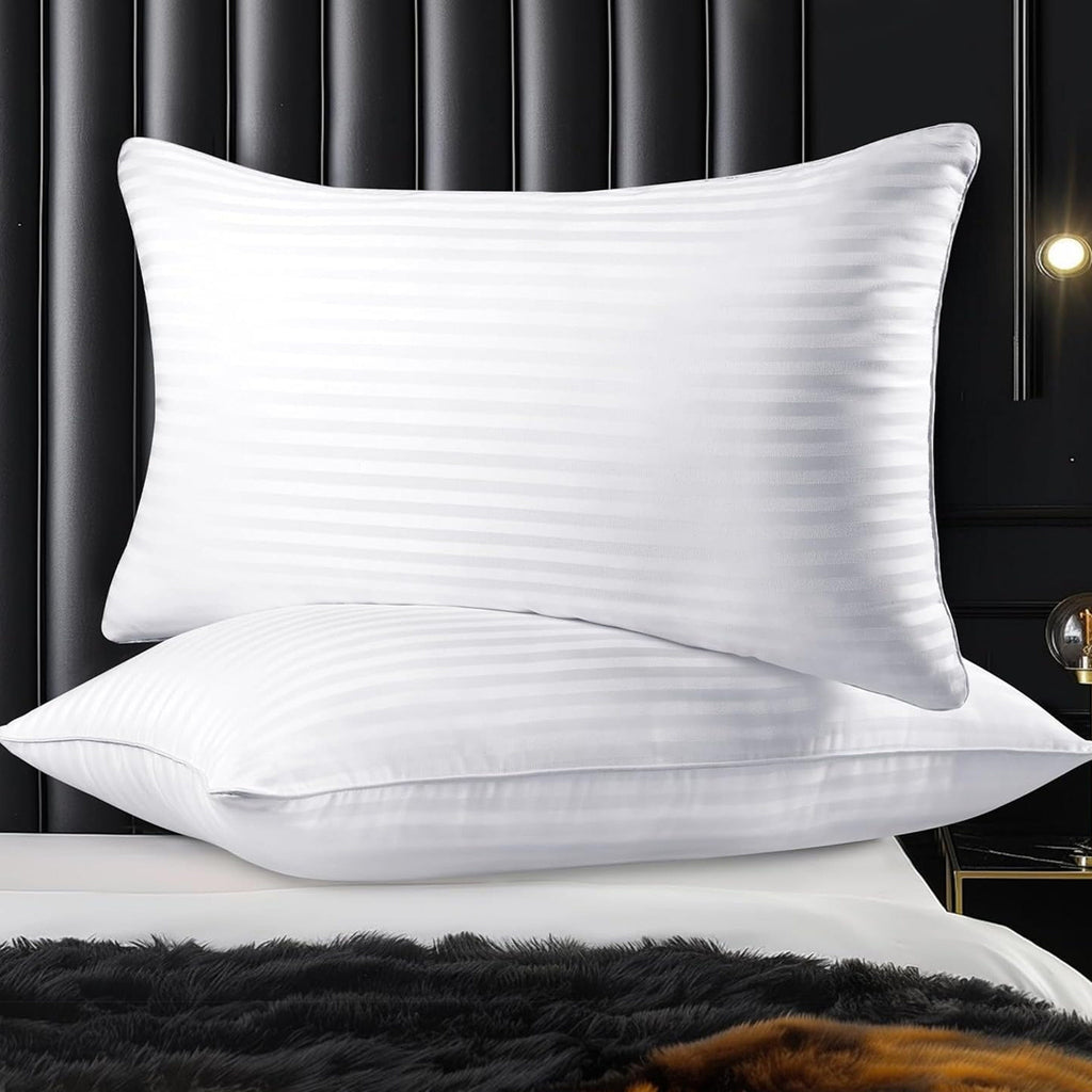 2 Pack Luxury Pillows Hypoallergenic
