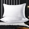 2 Pack Luxury Pillows Hypoallergenic