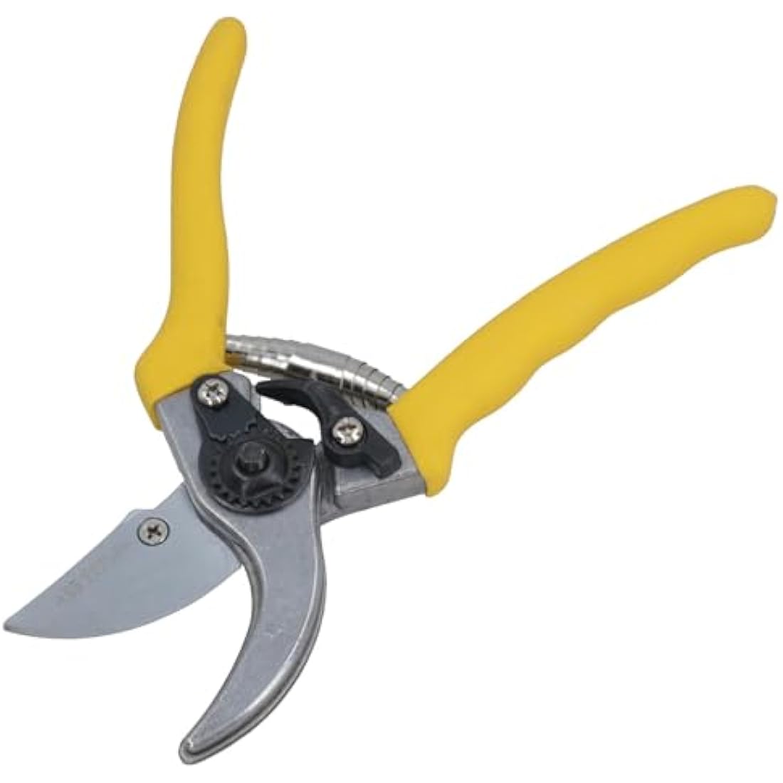 Pruning Shears + Hedge Shears