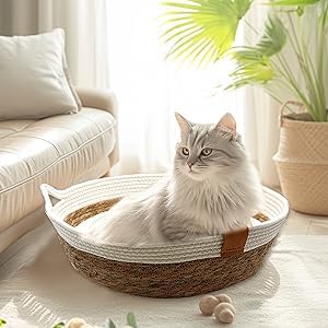 Rattan Cat Basket Bed with Cotton Cushion and Pillow
