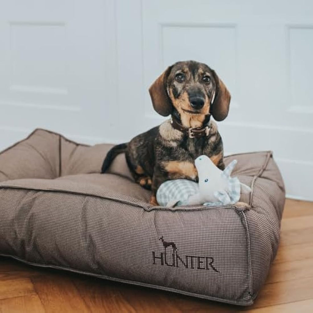 Padded, Velvety Dog Bed