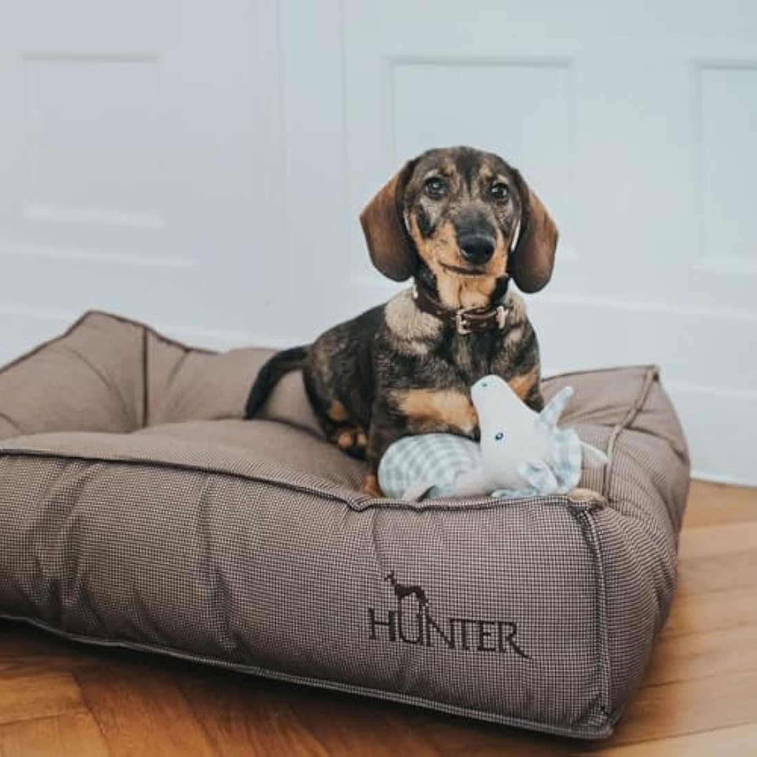 Padded, Velvety Dog Bed