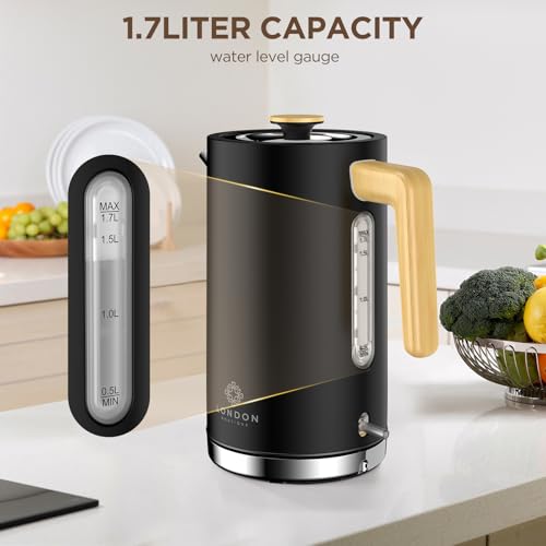 Electric Kettle, Black Stainless Steel