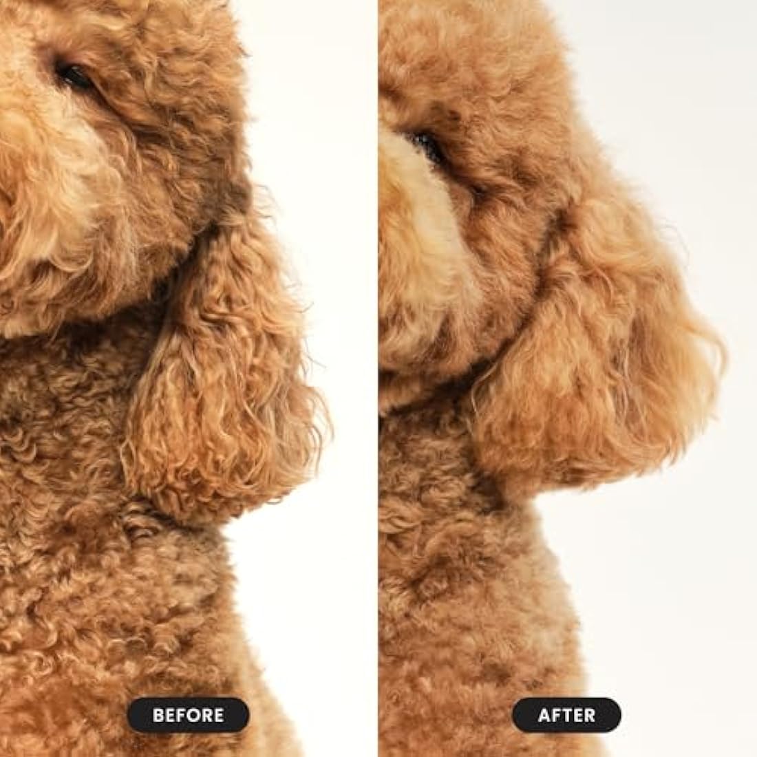 Detangling and Dog Grooming Brush