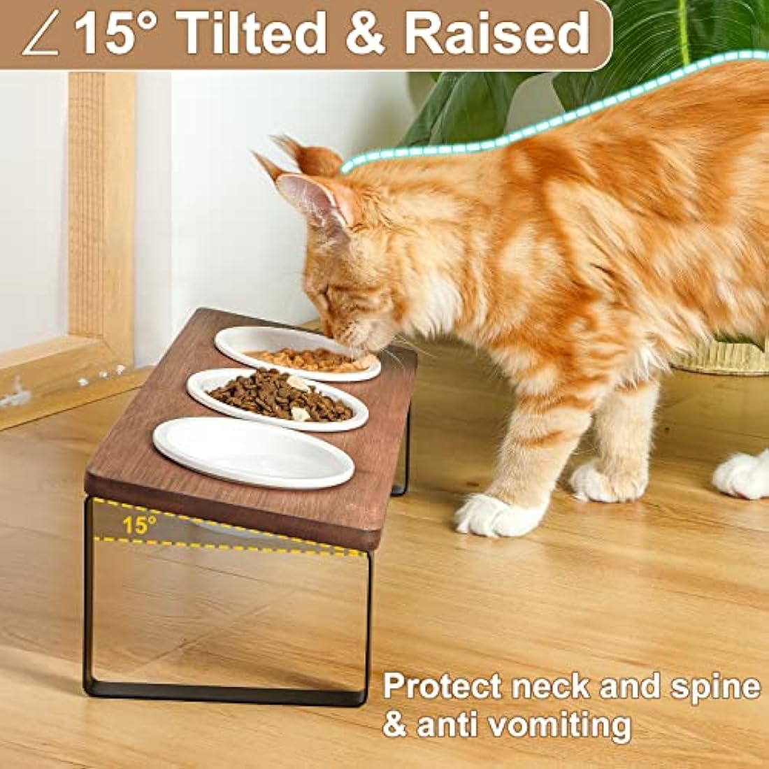 Raised Cat Bowl with Stand
