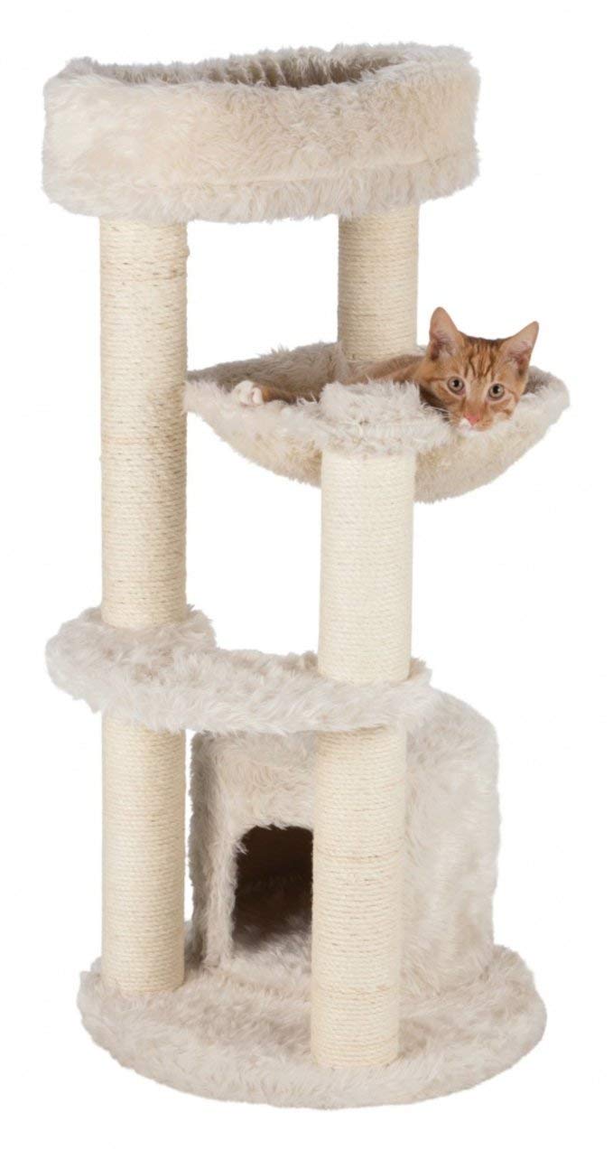 Cat Scratching Posts And Bed