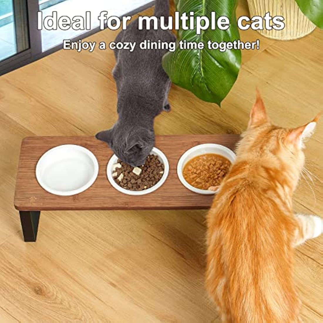 Raised Cat Bowl with Stand