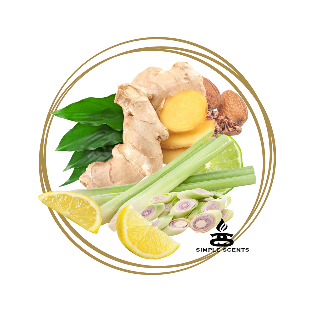 Lemongrass & Ginger Reed Diffuser