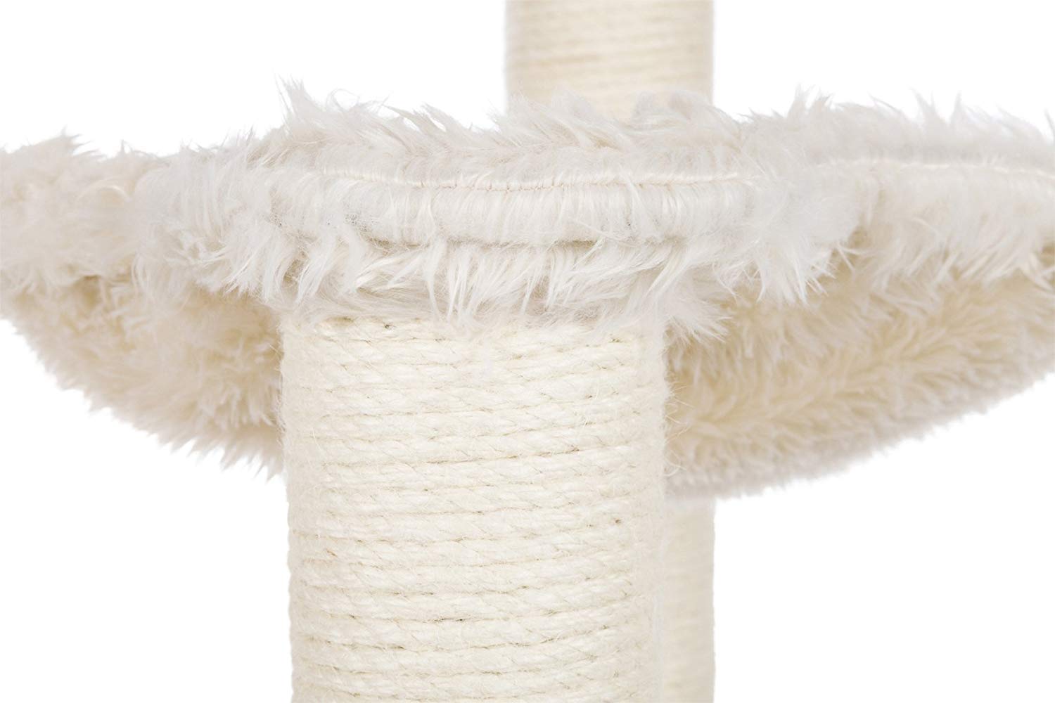 Cat Scratching Posts And Bed