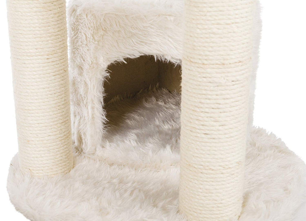 Cat Scratching Posts And Bed