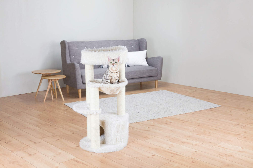 Cat Scratching Posts And Bed