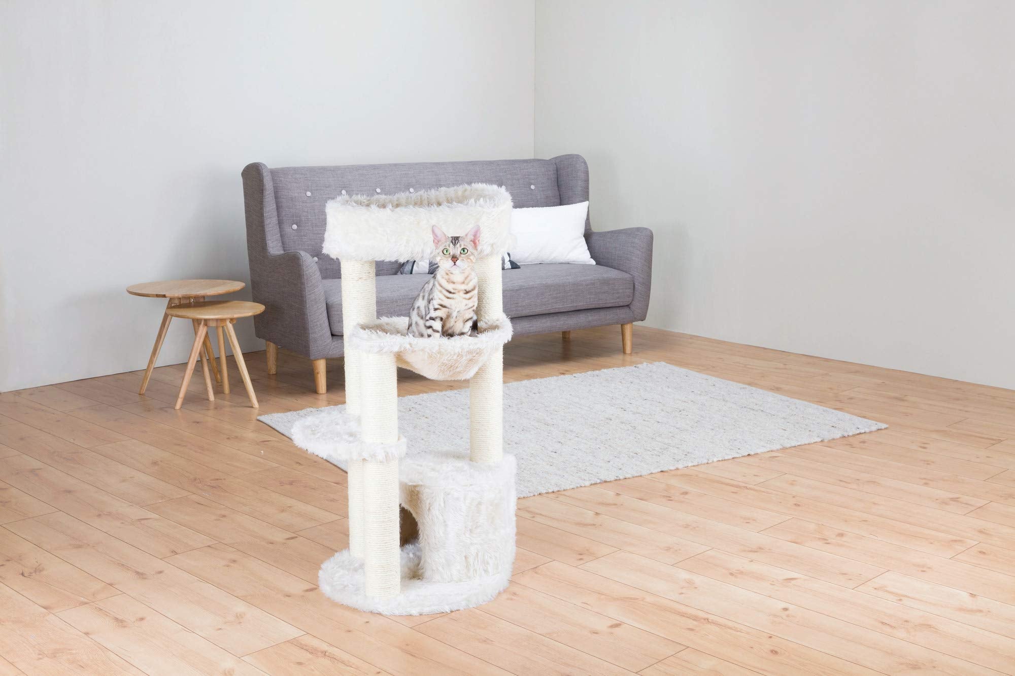 Cat Scratching Posts And Bed