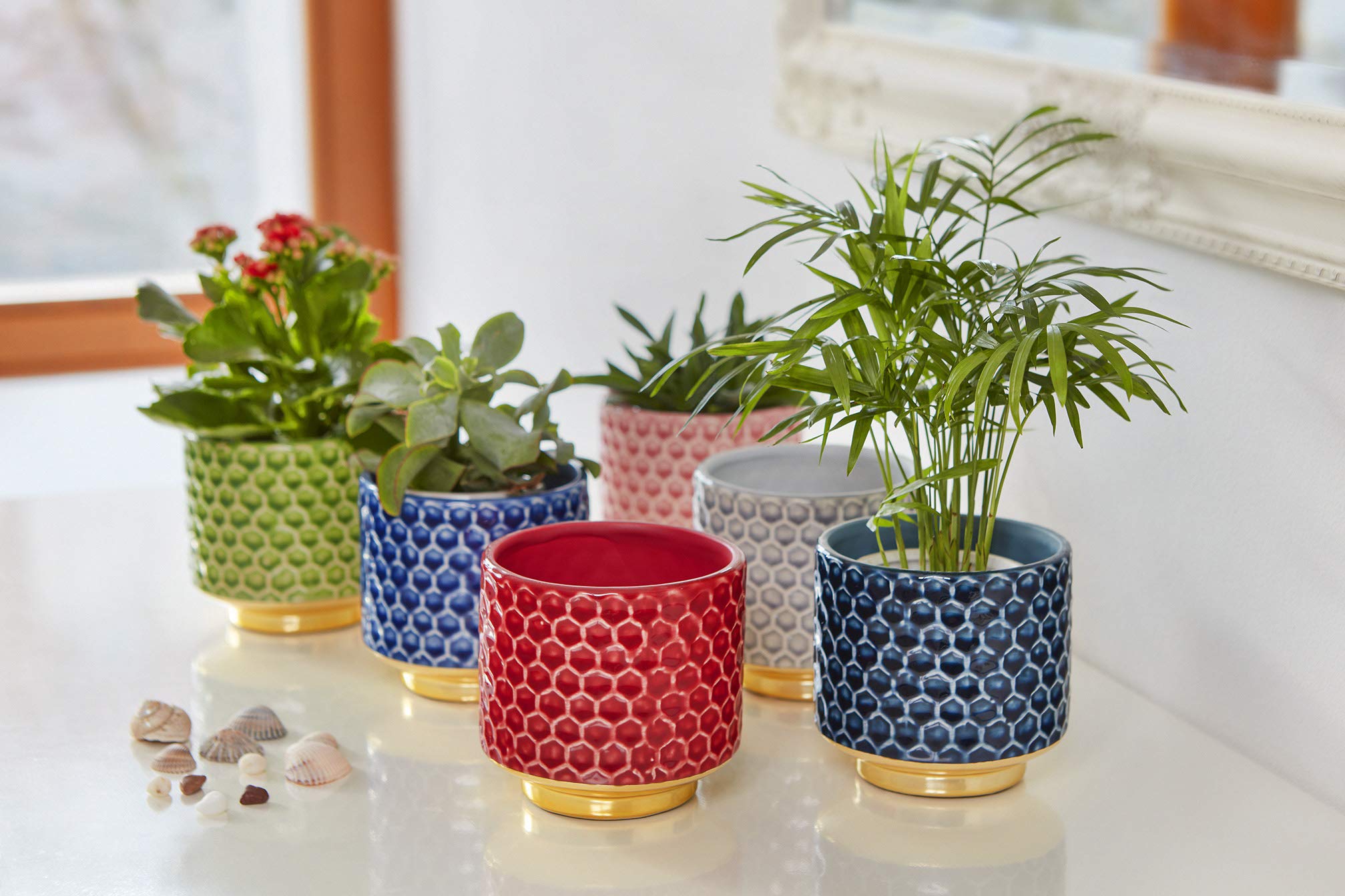 Ceramic Flower Pot