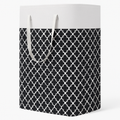 Large Laundry Basket with Extended Handle
