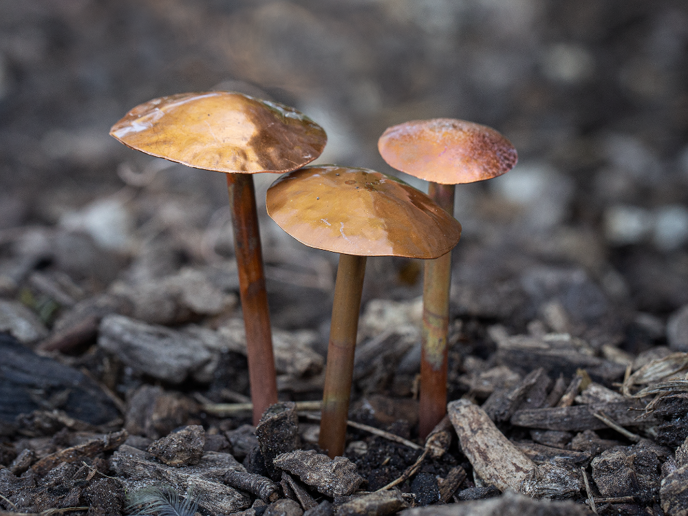 3 Copper Mushrooms