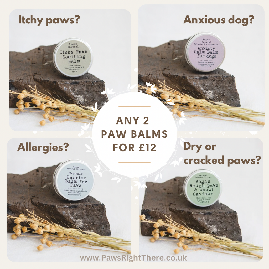 Rough Paws & Snout Saviour Balm