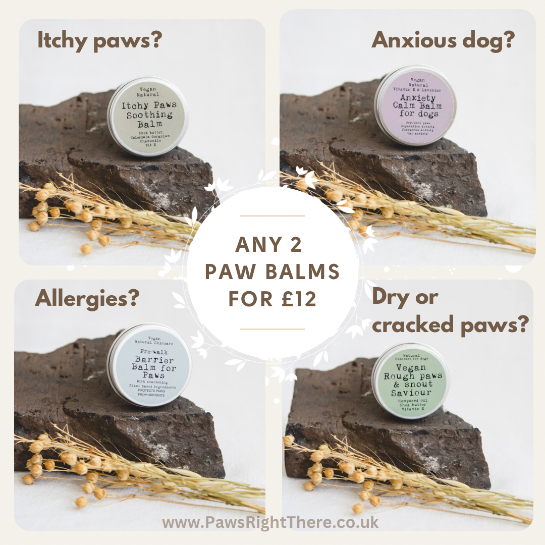 Rough Paws & Snout Saviour Balm