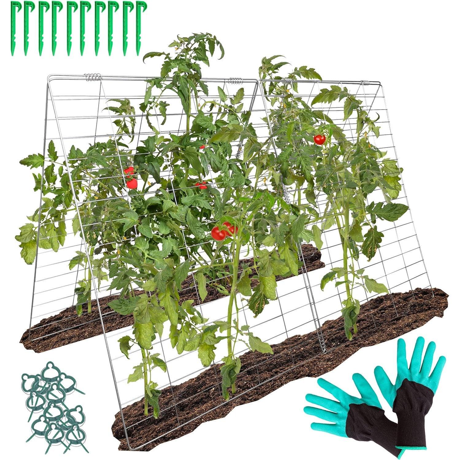 Garden Trellis for Climbing Plants And Vegetables