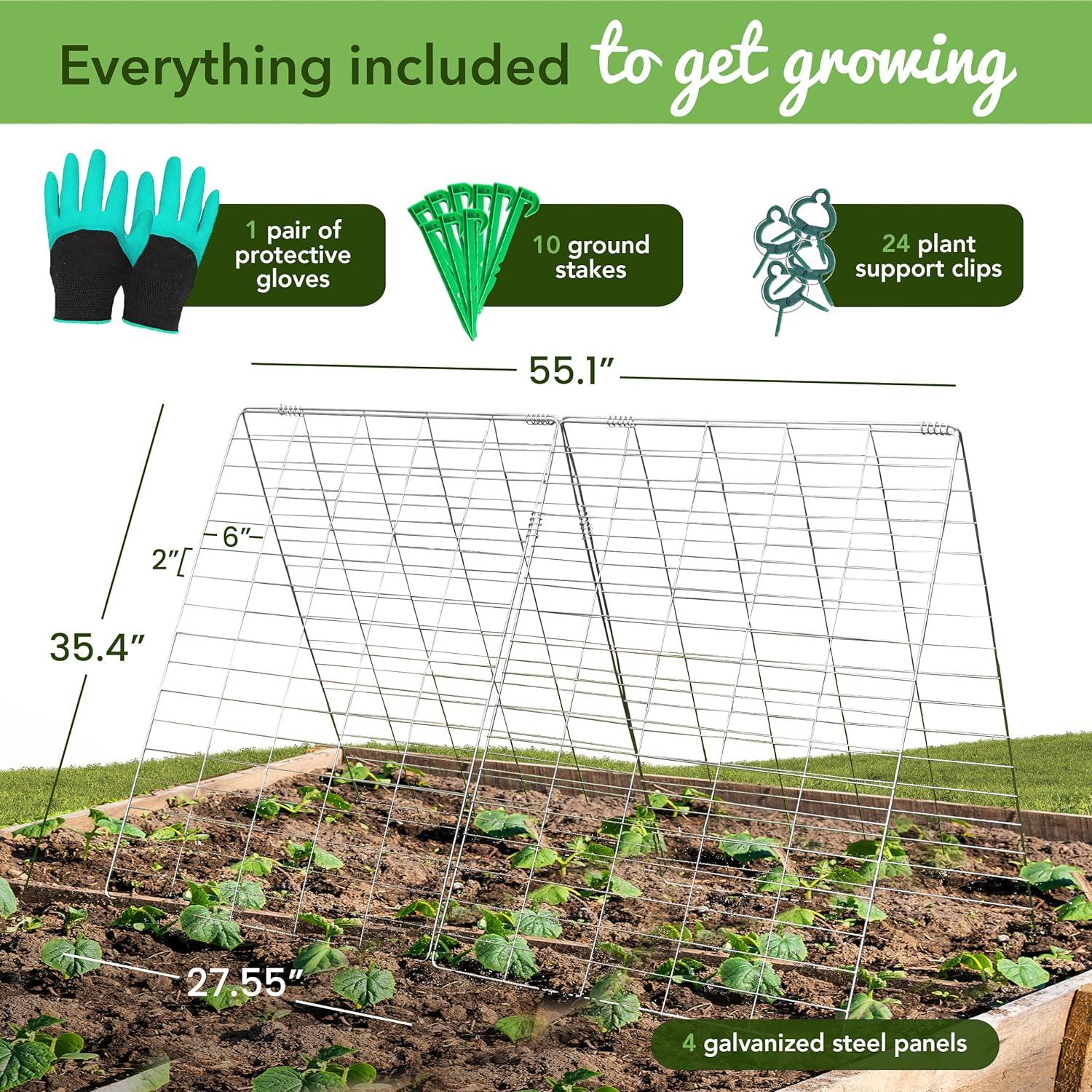 Garden Trellis for Climbing Plants And Vegetables