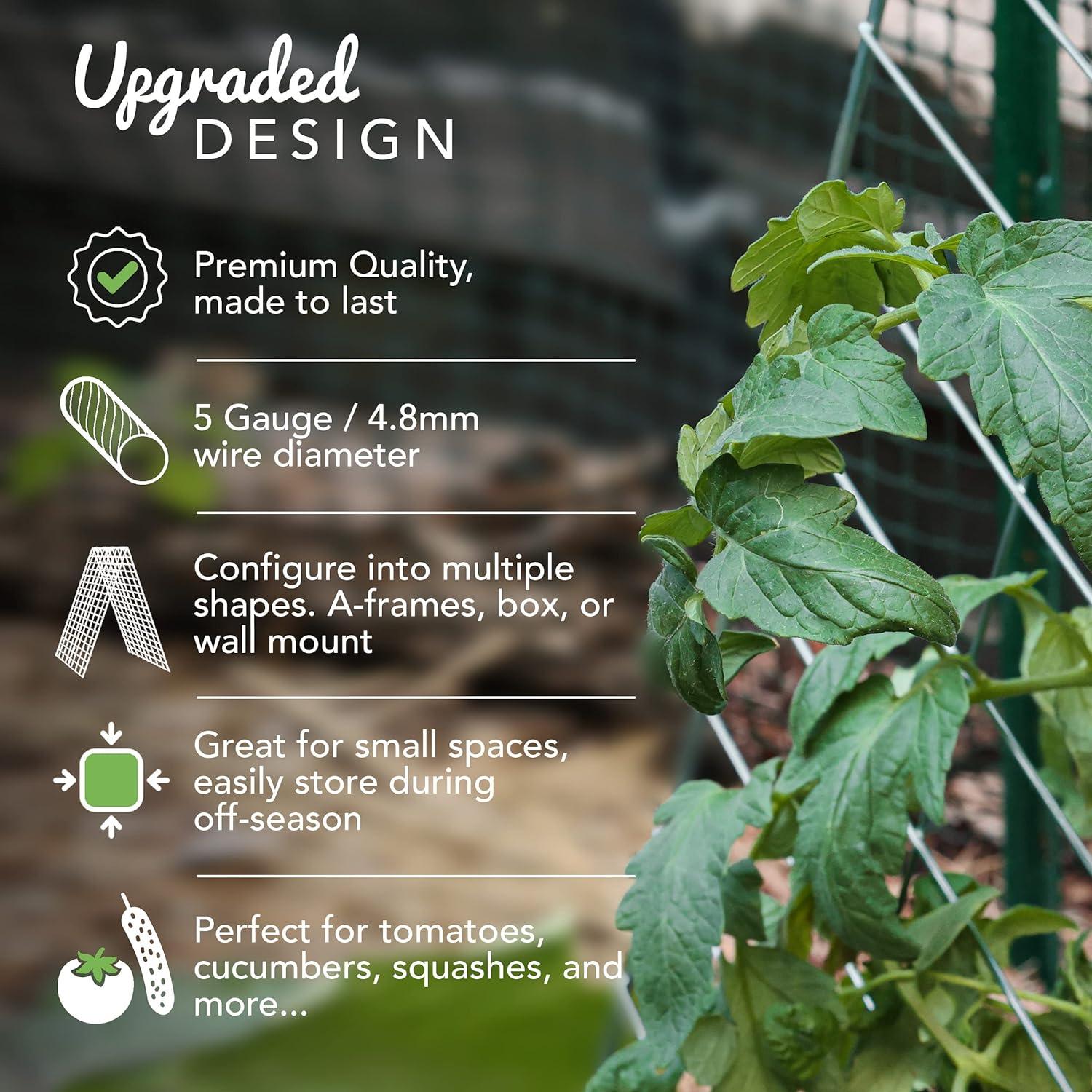 Garden Trellis for Climbing Plants And Vegetables