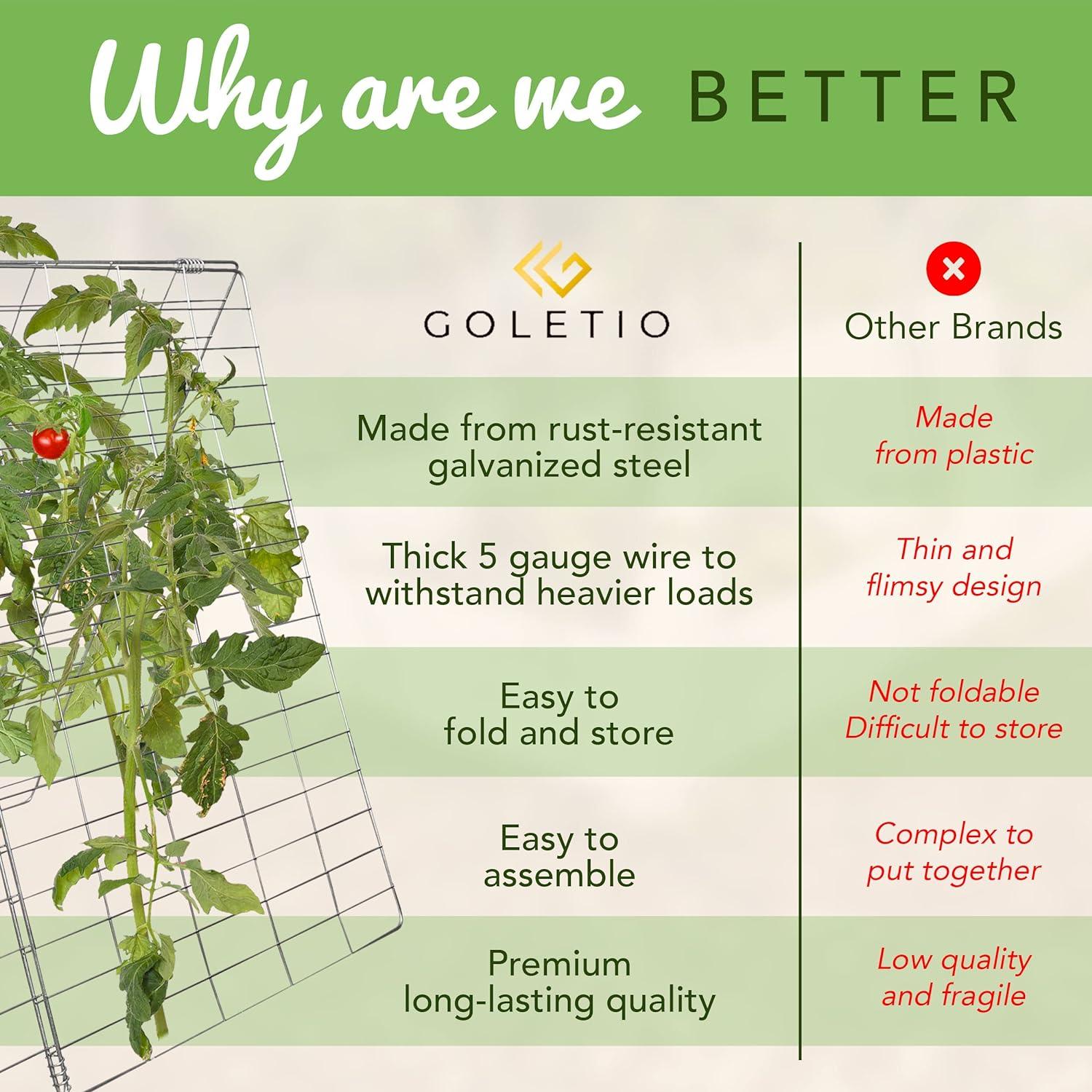 Garden Trellis for Climbing Plants And Vegetables