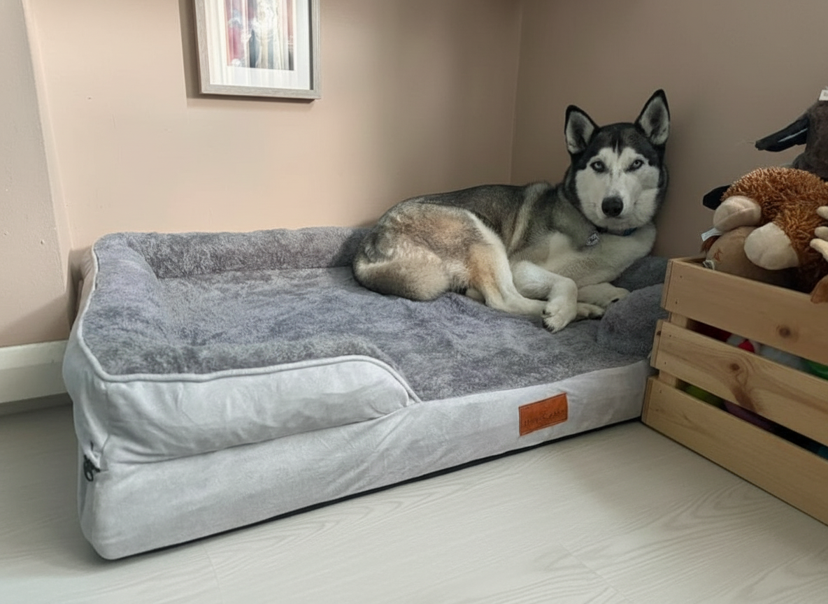Orthopaedic Dog Sofa™ - Xl