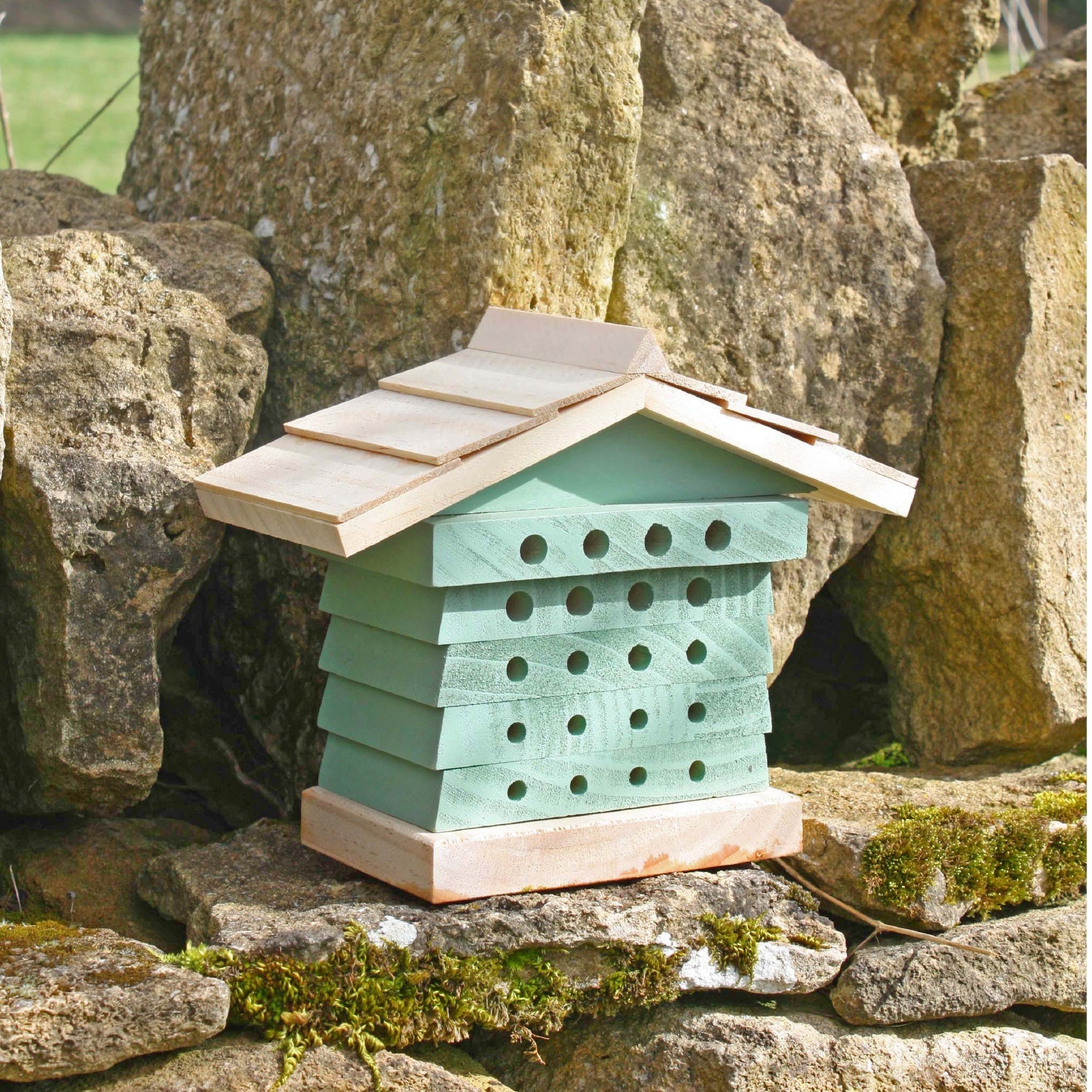 Solitary Bee Hive Sea Green